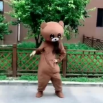 小熊网红舞蹈,萌动全网，舞动青春风采