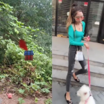 声音好听的小姐姐遛狗吗,声线甜美小姐姐的温馨遛狗时光